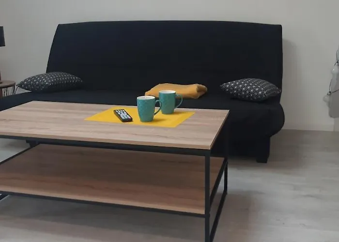 Lägenhet De Charme Entierement Renove *